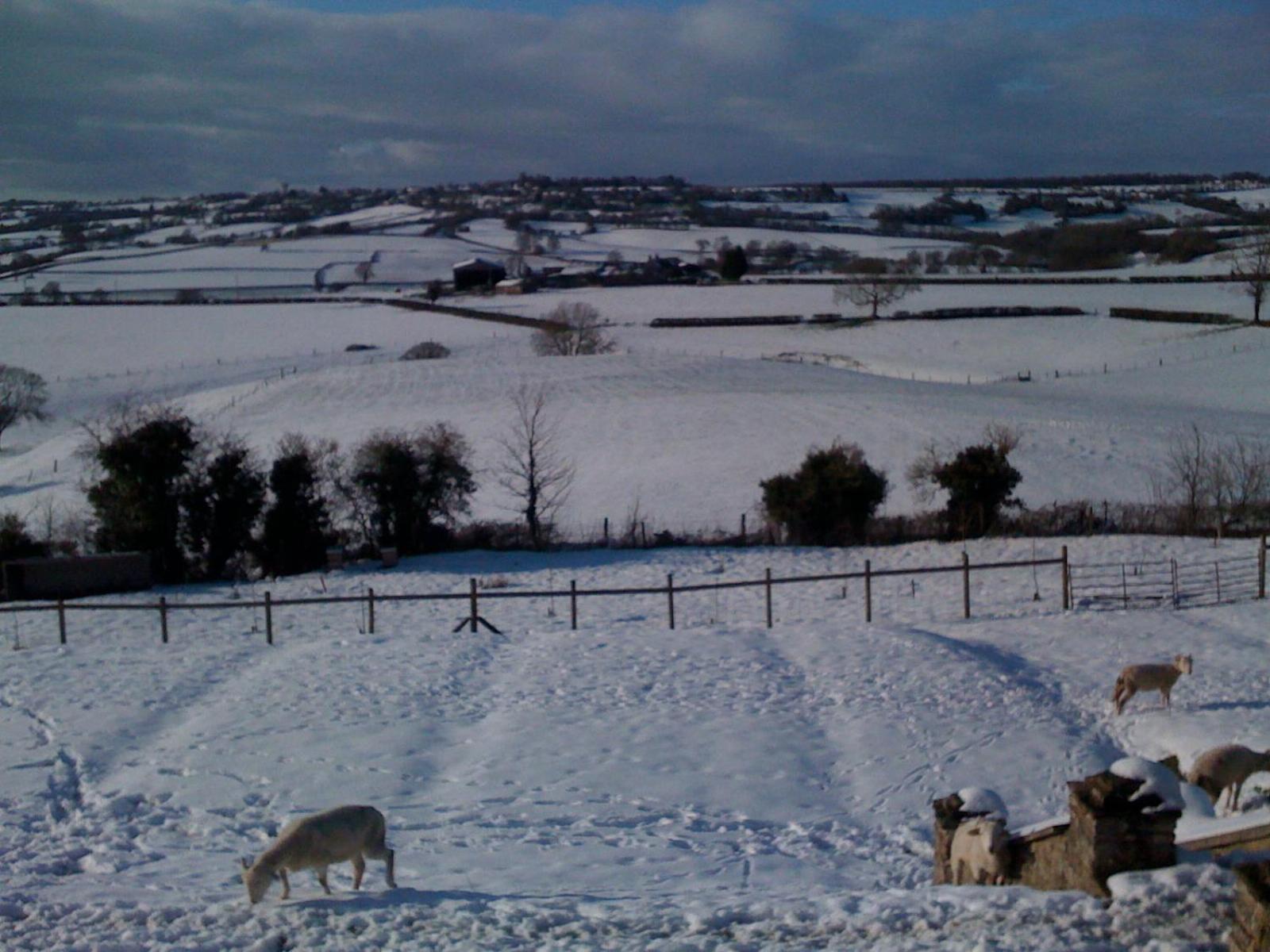 T'S At Lower Rudloe Farm Guest House Corsham Exterior foto