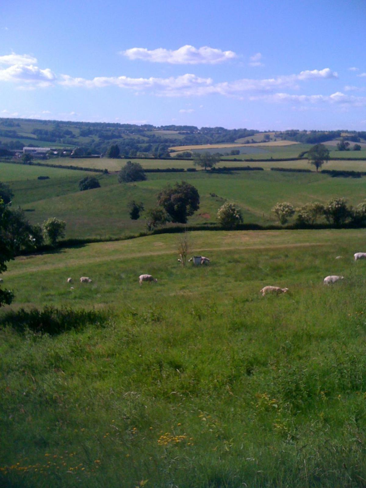 T'S At Lower Rudloe Farm Guest House Corsham Exterior foto